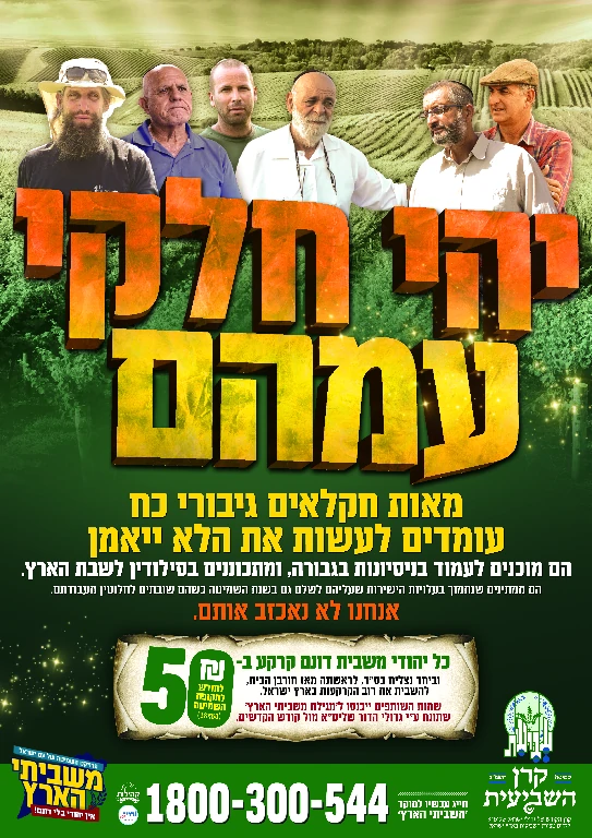 מודעה שלישית גובה